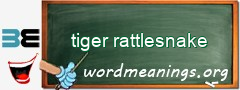 WordMeaning blackboard for tiger rattlesnake